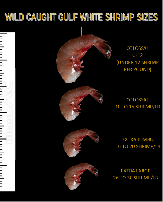 Colossal Wild Caught Gulf White Shrimp, USA - Under 12 Count (U-12), 5 Lbs Frozen Block